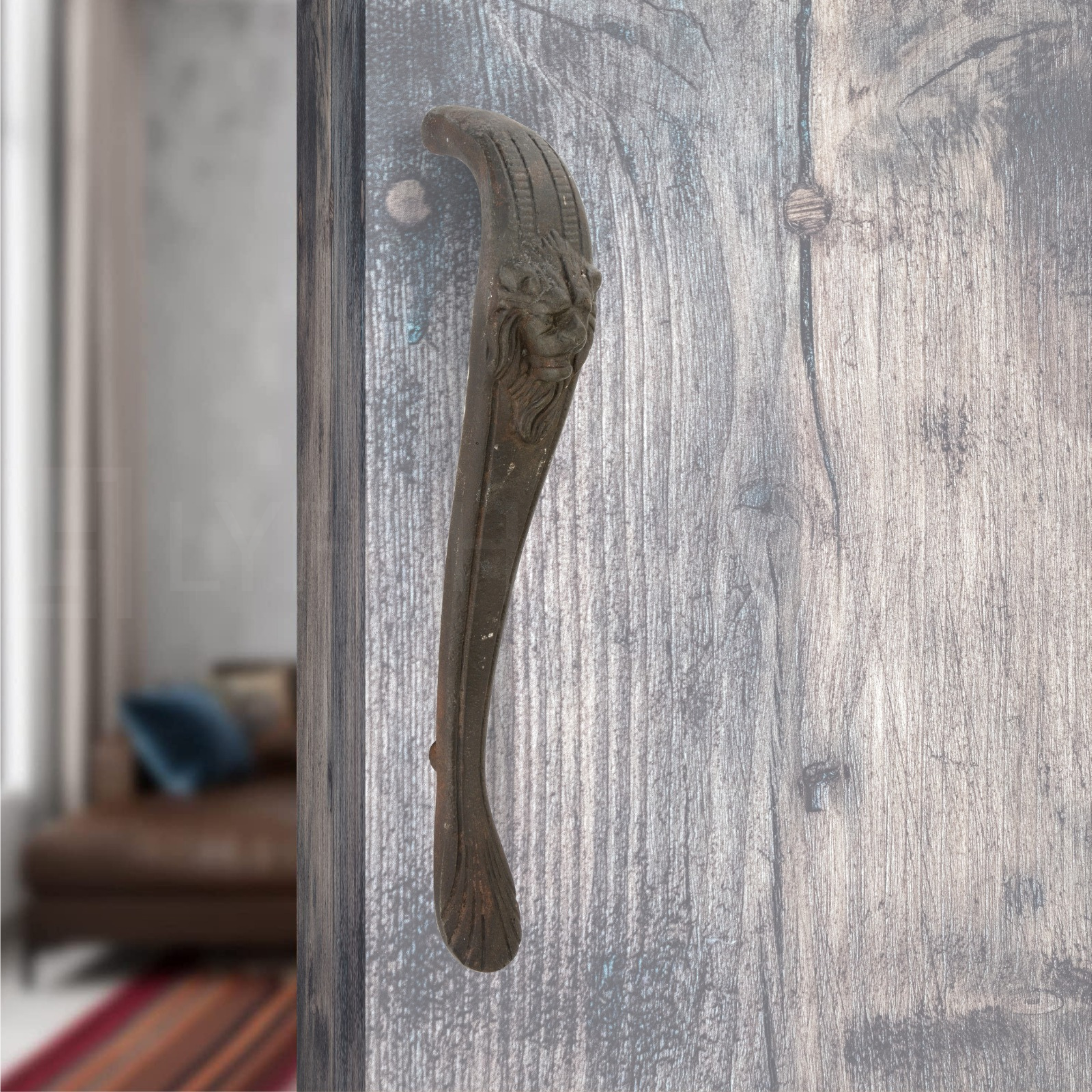Lion- Iron Door Pull Handle