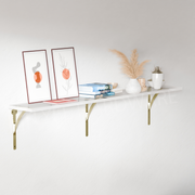 Acrylic Lucite Shelf Rack
